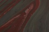 Polished Tiger Iron Stromatolite Slab - Billion Years #221972-1